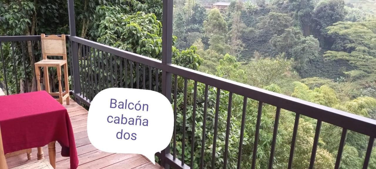 Hostal Y Cabanas Los Juanes Jardin Bagian luar foto
